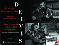 Delvis en concert à En Pauliac. Du 3 au 4 mars 2018 à Lescout. Tarn.  20H00